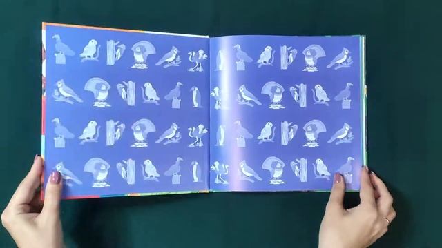 Детская познавательная книга "Птицы и букашки: от носа до хвоста" - Стейси Родерик смотреть онлайн