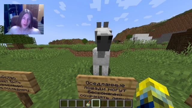 ФИКСЫ ДРЕВНЕЙШИХ БАГОВ | Обзор 3 Pre-Release 1.20 смотреть онлайн