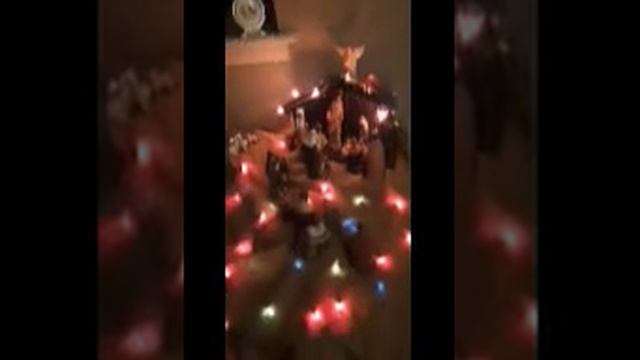 Nativity Figurine Scene with Lauren Daigle singing "Noel" смотреть онлайн