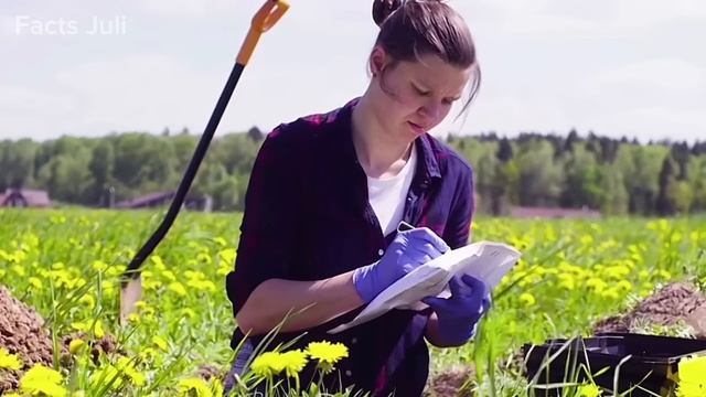 Самые Опасные Деревья, Которые Нельзя Трогать смотреть онлайн