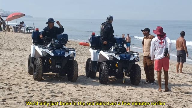 Huge 15ft crocodile stalks terrified Brits at popular beach resort смотреть онлайн