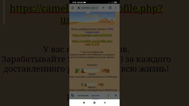 CAMEL BTC,https://camelbtc.com/profile.php?user=81476