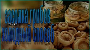 засолка грибов холодным способом рецепт / как вкусно засолить грибы