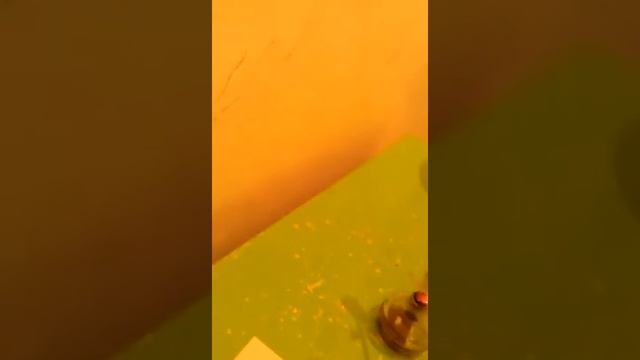 Реакция расплавленного парафина с водой смотреть онлайн