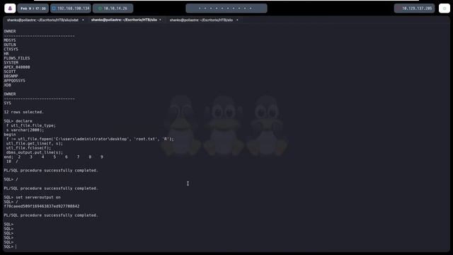 Silo HTB | Oración al gran OracleDB смотреть онлайн