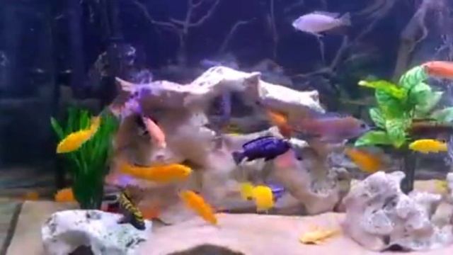 Спокойная музыка для души, сна и отдыха #music #relax #naturemusic #nature#звукиприроды