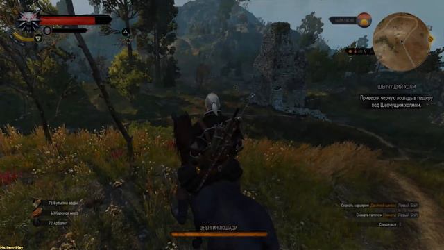 The Witcher 3: Wild Hunt ➤ Family matters(Дела семейные)part-3 №33 смотреть онлайн