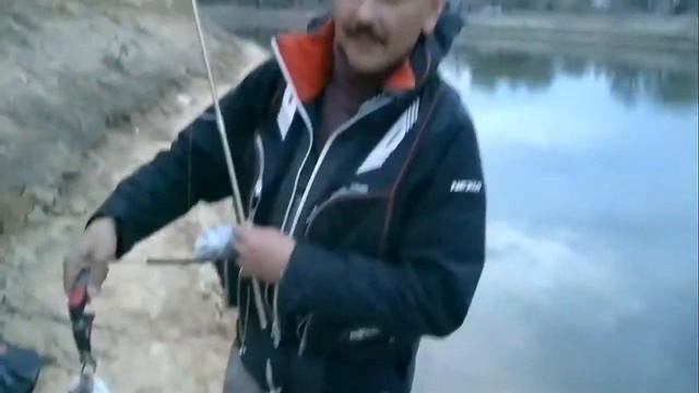 Жерех на вертушку дайва сильвер крик смотреть онлайн