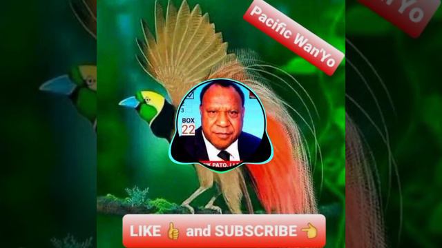 Rimbink Pato Election Song 2022 by Aiyok ft Gibson M Kups смотреть онлайн