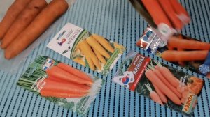 Наш любимый сорт моркови. Самые урожайные и вкусные сорта моркови на следующий 2023 год.