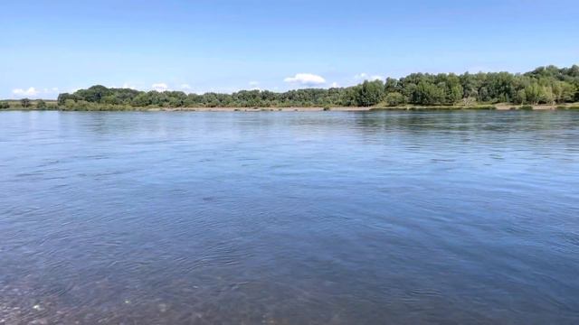 Казахстан. ВКО. Река Иртыш. Kazakhstan. Nature. Irtysh river. смотреть онлайн