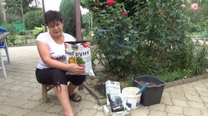 ЛИЛИИ ПОСАДКА ОСЕНЬЮ   ЧАСТЬ1 . Какую почву любят лилии и как подготовить посадочную яму