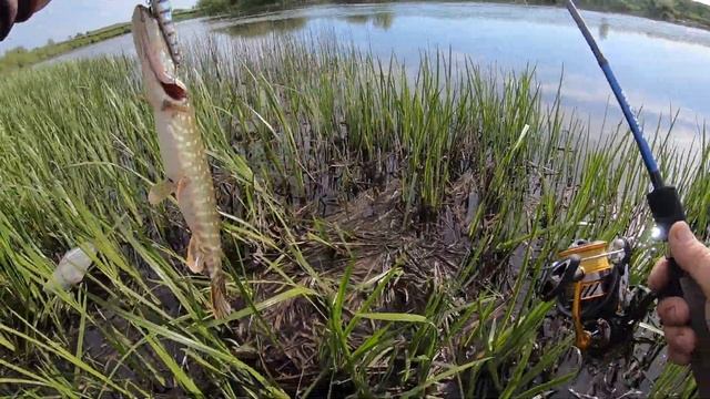 Обзор посылки из Rybalkashop.ru №5. Спиннинг для твичинга 130-тых воблеров