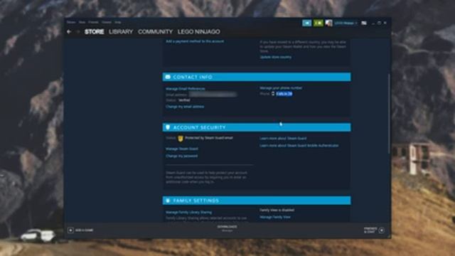 Steam Desktop Authenticator - Crash Course & Security