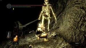 Как и где найти Кольцо с серебряным змеем в Dark Souls Remastered