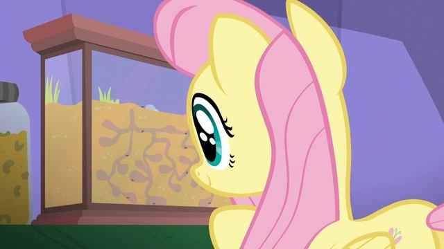 Fluttershy - Aww, look at the cute little ant farm! смотреть онлайн