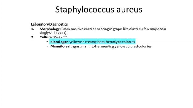 Staphylococci: Aureus, Epidermidis, Saprophyticus смотреть онлайн