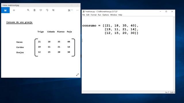Python - Nivel 24 - Reto 1 - Representar una matriz смотреть онлайн