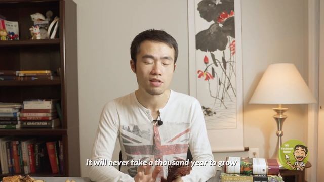 Medicinal Reishi Mushroom? Chinese Folklore And Such 在哪里找野生灵芝?