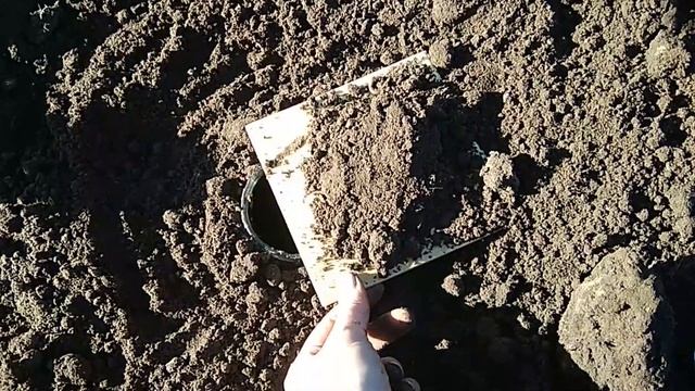 Как бороться с медведкой Борьба с медведкой лучший способ Как выглядит медведка Медведка видео смотреть онлайн