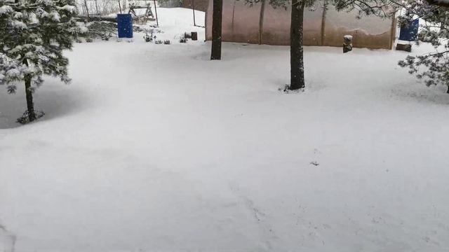 Дача-75 смотреть онлайн