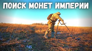 Коп монет с металлоискателем