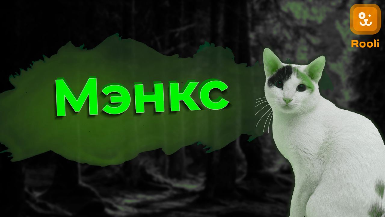 Кошки Мэнкс смотреть онлайн