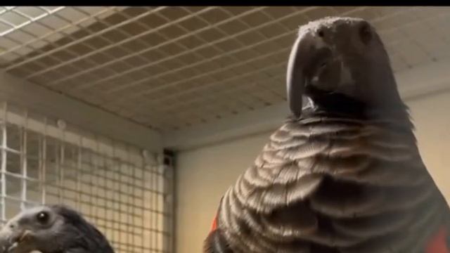 это фотошоп или реальное фото, ответ это реальное фото