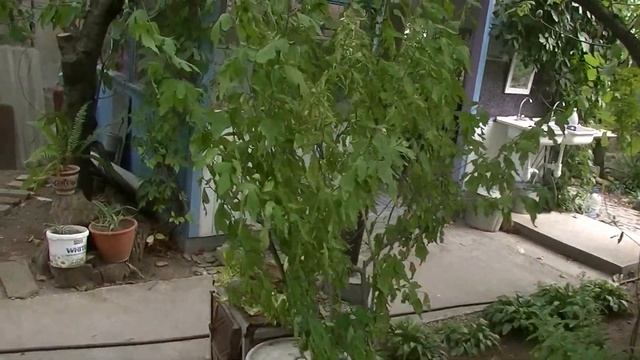 ЭКОНОМ_КЛАСС, МАРШАЛА ЕРЕМЕНКО В СУДАКЕ смотреть онлайн