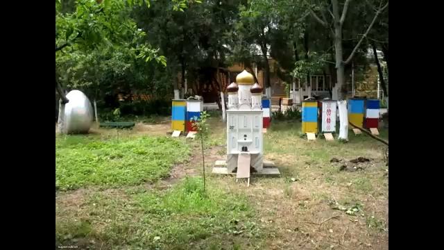 Нестандартные конструкции ульев со всего света, Подборка фото смотреть онлайн