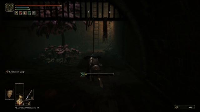 Ключ от канализационной тюрьмы, Поедатель отбросов где найти. Elden Ring смотреть онлайн