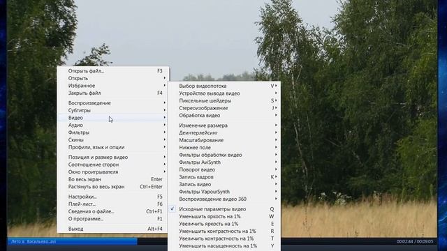 Видео плеер Daum PotPlayer,видит все форматы,флеш и гиф анимацию смотреть онлайн