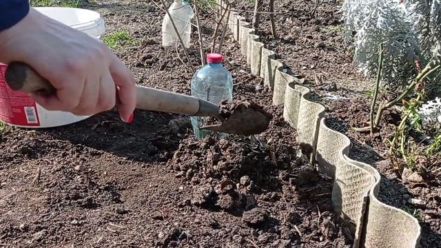 Посадила розы под бутылку!// Подснежники уже отцветают!// Пельмешки!!! смотреть онлайн