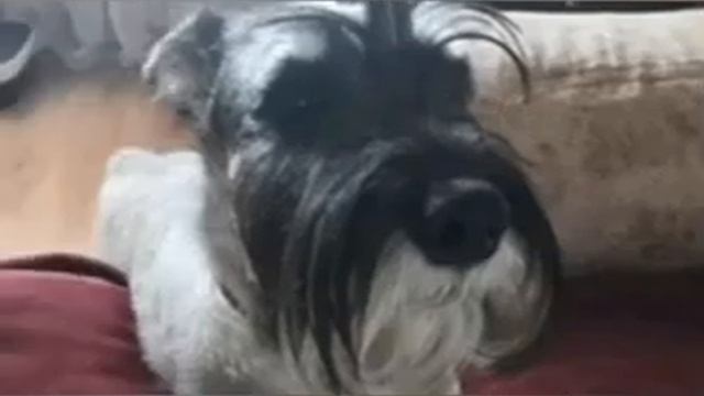 Тренд Для Хаусов смотреть онлайн