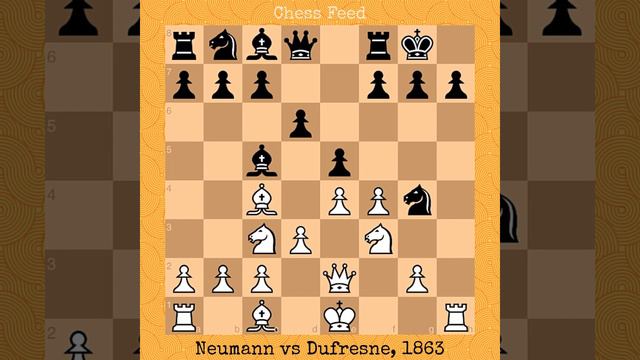 Gustav Neumann vs Jean Dufresne, 1862 #chess #checkmate смотреть онлайн