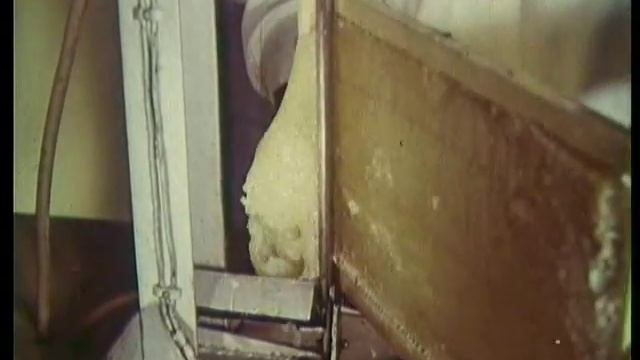 пчеловождение СССР смотреть онлайн
