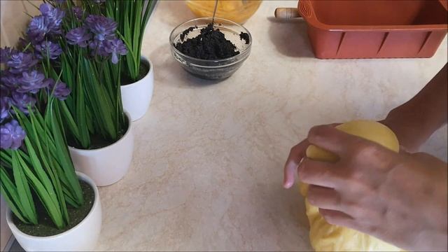 Булочки домашние на желтках с МАКОМ и КУРАГОЙ.СДОБНОЕ ТЕСТО смотреть онлайн