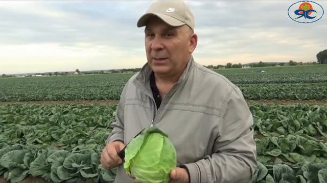 Фул Мун смотреть онлайн