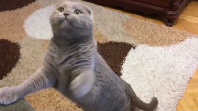 Еще один ! (07.05.2018) смотреть онлайн