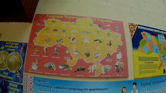 Животные из Красной книги Украины смотреть онлайн