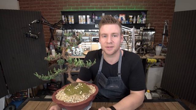 Using CRAFT TRICKS to Resurrect my Dead Bonsai Trees?! смотреть онлайн