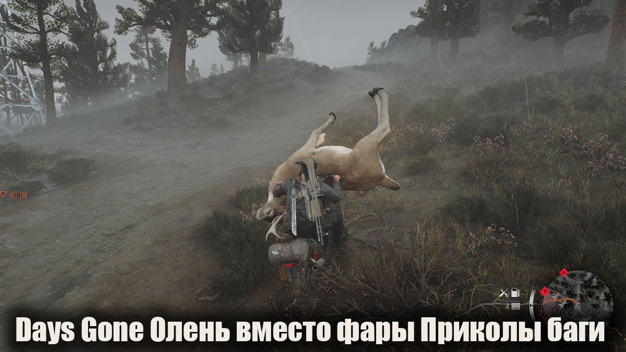 Days Gone Олень вместо фары (Приколы баги) смотреть онлайн