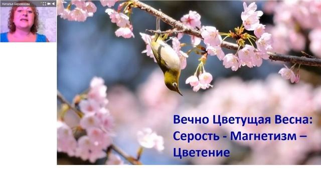 Активация 21.06 - Вечно цветущая весна смотреть онлайн