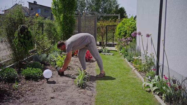 Jakie Rośliny Lubią Słońce? Moje Propozycje Roślin Na Słoneczną Rabatę