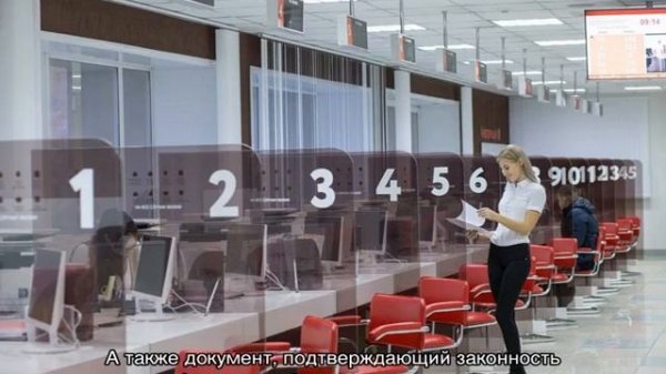 Как получить СНИЛС иностранному гражданину