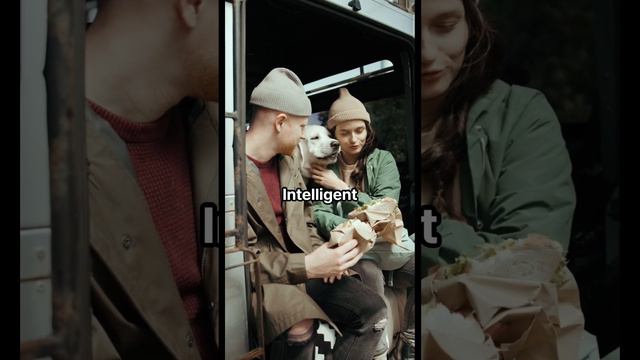 Top 10 Dog Breeds Suitable For Families