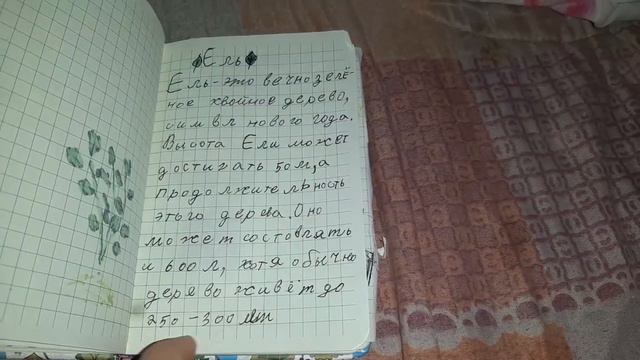обзор на мой травник♡♡ смотреть онлайн
