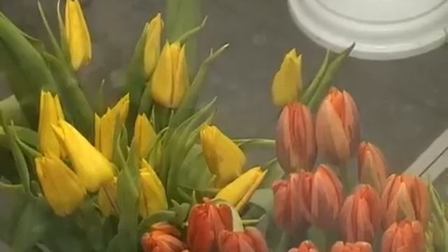 Цветы к 8 марта смотреть онлайн