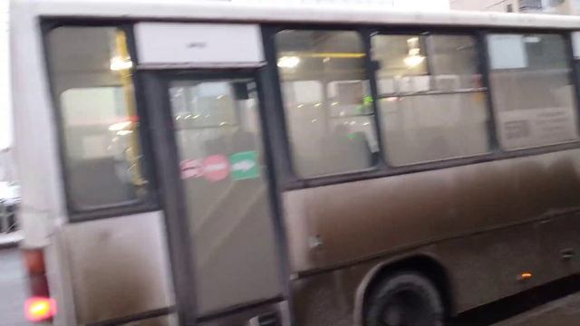 Автобус 550 маршрут Колпино Улица Ижорского Батальона смотреть онлайн