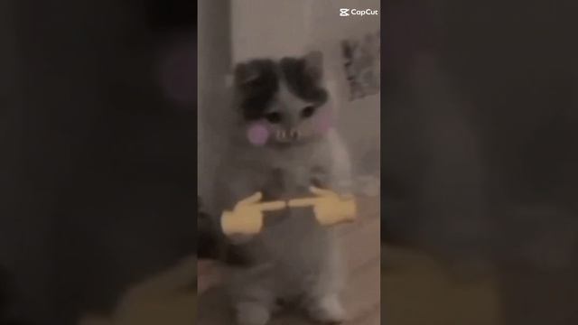 con là đứa cầm đầu =))))😈 смотреть онлайн